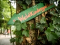 waldkobolde-andreas.endermann-053